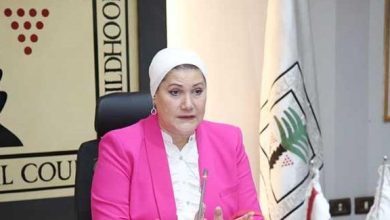 رئيس المجلس القومي للطفولة والأمومة: نتدخل بشكل فوري لإنقاذ الأطفال من استغلال الشركات