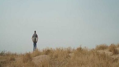 مهرجان القاهرة يعلن عن الأفلام المشاركة في برنامج أضواء على السينما الفلسطينية