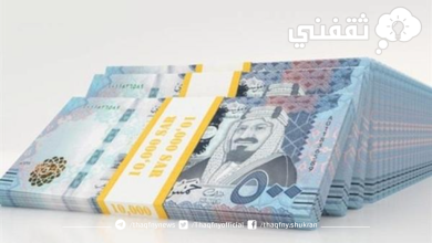 20,000 ريال تمويل منصة سلفة بدون الحاجة لتحويل الراتب بفترات ميسرة لكافة المواطنين