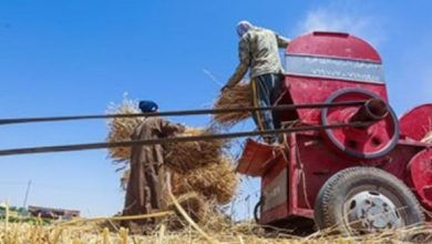 بتر ساعد مزارع داخل ماكينة دراسة قش بالدقهلية