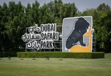 أسعار الدخول ورابط حجز تذاكر سفاري دبي عبر الأنترنت dubaisafari.ae تفاصيل الخطوات