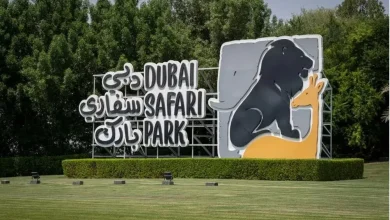 أسعار الدخول ورابط حجز تذاكر سفاري دبي عبر الأنترنت dubaisafari.ae تفاصيل الخطوات