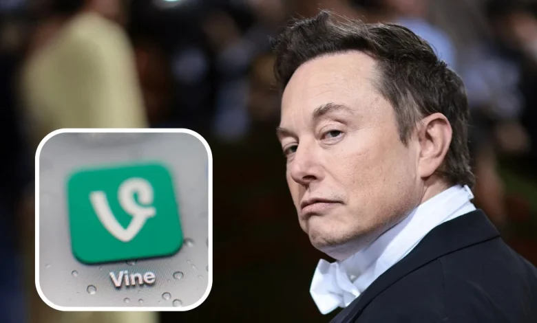 إيلون ماسك يبحث إعادة تطبيق Vine بعد حظر تيك توك