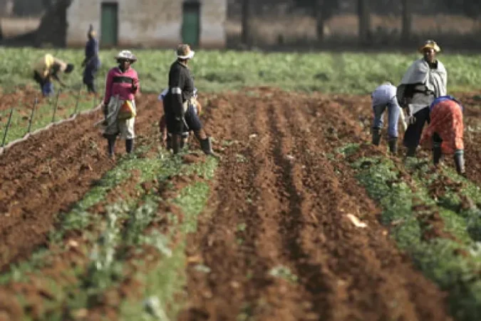 اختتام أشغال قمة التنمية الزراعة الإفريقية على خلفية التزام بزيادة إنتاج الصناعة الغذائية