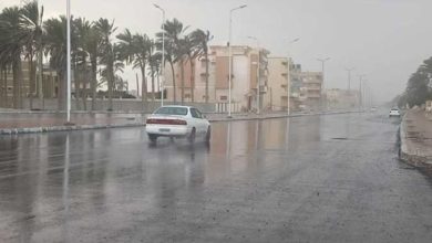 شبورة صباحية وأمطار على الوجه البحري.. تفاصيل حالة الطقس غدا