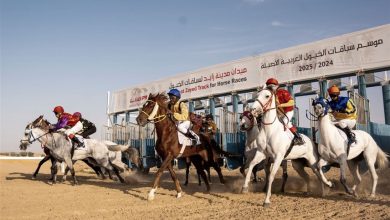 "سفير الثاني" و"الظفرة" بطلا السباق الثامن للخيول العربية في مدينة زايد
