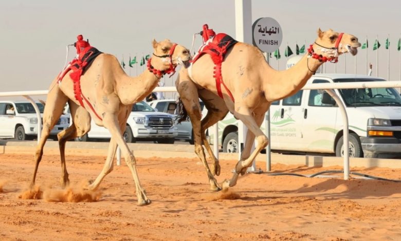 فوز هجن الرئاسة بسيف خادم الحرمين في الجنادرية