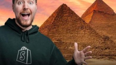 مدير لجنة مصر للأفلام عن فيديو مستر بيست: صورنا 70 عملا أجنبيا خلال 4 سنوات