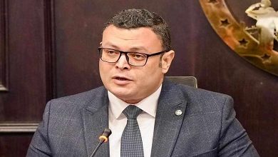 المهندس شريف الشربيني