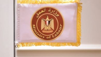 وزير العمل: فرص عمل متاحة بالخارج بمرتبات مجزية لجميع الفئات عبر موقع الوزارة