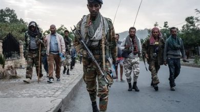 الجيش الإثيوبي يعلن مقتل أكثر من 300 من ميليشيا فانو