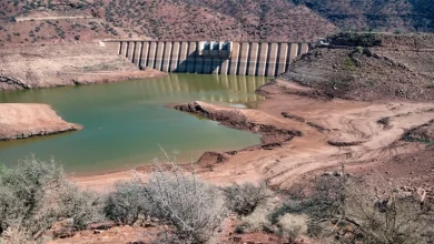 سدود أم الربيع تنتعش بوصول 165 مليون متر مكعب من المياه بعد التساقطات الأخيرة