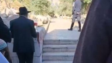 أكبر اقتحام عددي منذ احتلاله.. المسجد الأقصى يدخل مرحلة استباحة غير مسبوقة 