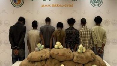 حرس الحدود بعسير يقبض على 7 مخالفين لتهريبهم 140 كيلوجرامًا من القات المخدر