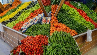وزير الزراعة: أسعار الليمون ستنخفض خلال شهر.. الطماطم تراجعت من 40 جنيها لـ 30 قرشا