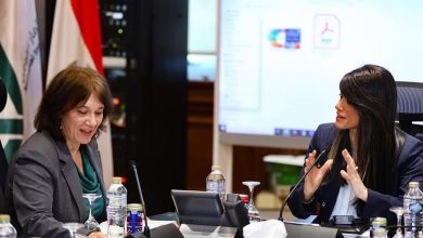 1.3 مليار دولار.. المشاط تبحث مع صندوق النقد الدولي إجراءات التمويل المقدم من صندوق المرونة