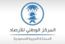 «الأرصاد»: أمطار رعدية على الجنوبية - أخبار السعودية