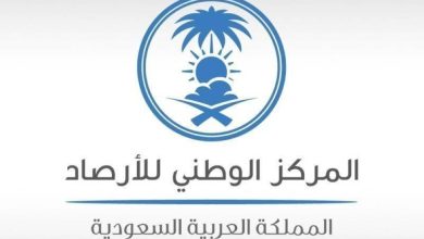 «الأرصاد»: أمطار رعدية على الجنوبية - أخبار السعودية