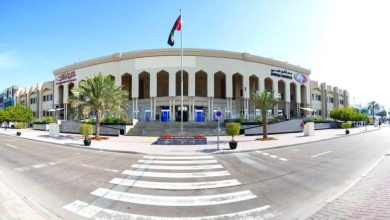 عصابة تنتحل صفة رجال أمن وتسرق 600 ألف درهم من آسيوي - أخبار السعودية