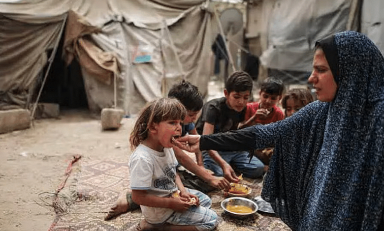 500 ألف فلسطيني بغزة على شفا المجاعة