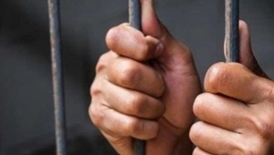 نشر فيديو مفبركا لخطف طفل من والدته.. المتهم يواجه الحبس سنة