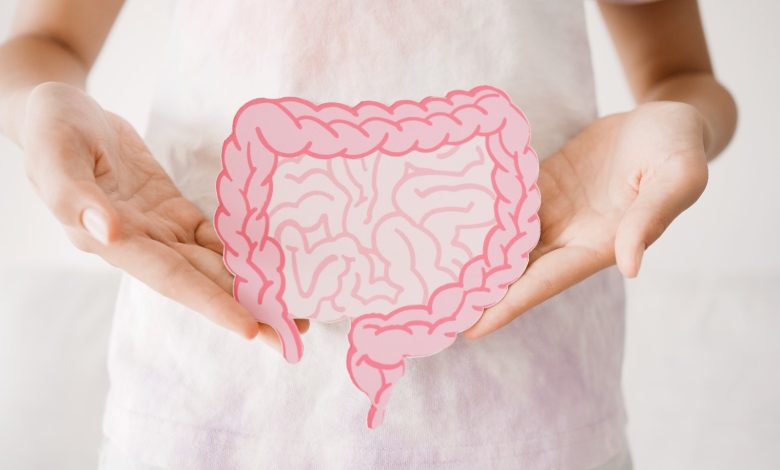 8 أطعمة تُعزز صحة الأمعاء والهضم