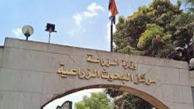 القيادة السياسية تولي اهتماما كبيرا بمشروع مستقبل مصر للتنمية المستدامة