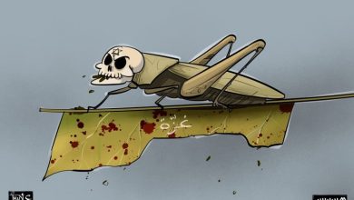 حرب التجويع في غزة