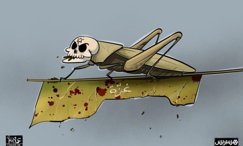 حرب التجويع في غزة