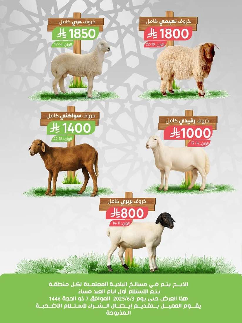 تسوق مجلة عروض أسواق المزرعة المنطقة الجنوبية الاسبوعية الأربعاء 21-5-2025 3 XHTwK2 - تسوق مجلة عروض أسواق المزرعة المنطقة الجنوبية الاسبوعية الأربعاء 21-5-2025