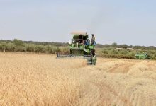المغرب ينعش الفلاحة والصناعة .. والعجز يلازم ميزان التجارة الخارجية