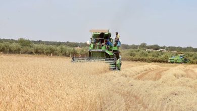 المغرب ينعش الفلاحة والصناعة .. والعجز يلازم ميزان التجارة الخارجية