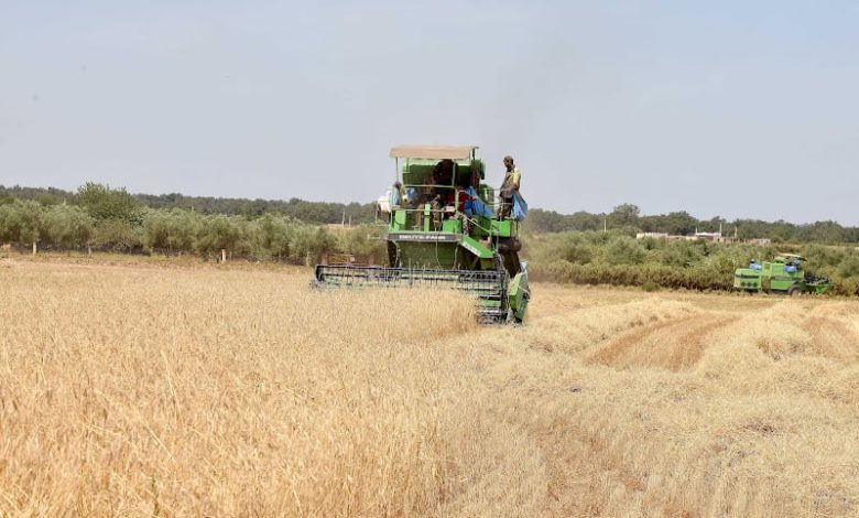 المغرب ينعش الفلاحة والصناعة .. والعجز يلازم ميزان التجارة الخارجية