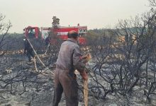 حرائق ضخمة تلتهم مساحات واسعة من الغابات والمزارع في ليبيا