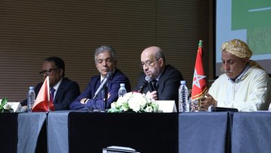 السميرس: الحوامض فَقَدَ 40 ألف هكتار.. والوسطاء يُضرّون بالمنتِج والمستهلك