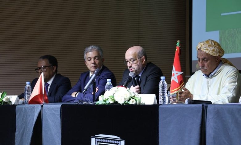 السميرس: الحوامض فَقَدَ 40 ألف هكتار.. والوسطاء يُضرّون بالمنتِج والمستهلك