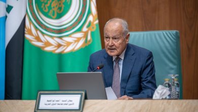 أبوالغيط: التنمية المستدامة ضرورة ملحّة وهي السبيل لبناء السلام