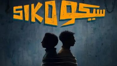 أفلام موسم عيد الفطر السينمائي تحقق 217 مليون و547 ألف جنيه في 7 أسابيع عرض