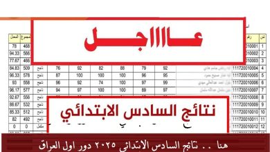الآن .. نتائج السادس الابتدائي 2025 دور اول جميع المحافظات كشوفات PDF موقع نتائجنا