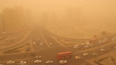 «الأرصاد»: رياح نشطة مثيرة للغبار وانخفاض بمستوى الرؤية الأفقية