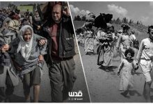 الإبادة من 1948 وحتى حرب 2023: المقاومة كحل وحيد للردع 