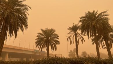 «الارصاد»: انخفاض الرؤية ونشاط للرياح  بسرعة 50 كم/ساعة