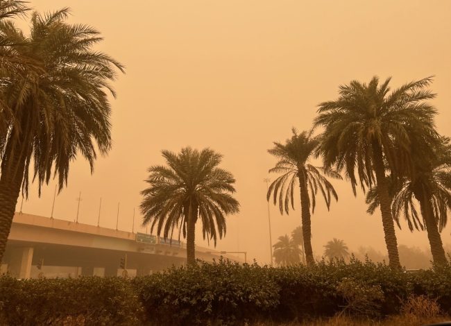 «الارصاد»: انخفاض الرؤية ونشاط للرياح بسرعة 50 كم/ساعة