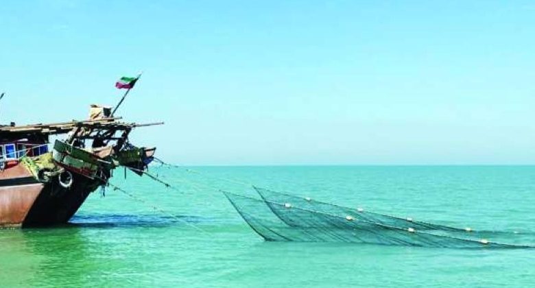 «البيئة» توضح سبب منع الصيد في بعض أماكن «الجون»