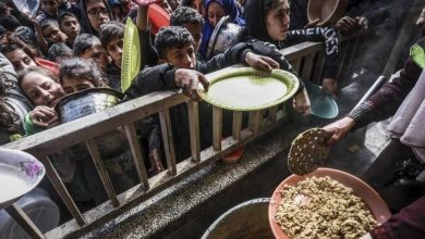 الساعة تدق باتجاه المجاعة والفلسطينيون في غزة يموتون
