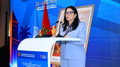 السغروشني: تموقع بلدنا غير بارز كفاية على مستوى الترتيب العالمي المرتبط بالذكاء الاصطناعي