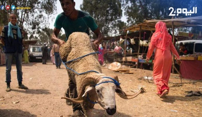 السلطات تمنع شاحنات محملة بالمواشي من ولوج سوق أولاد امبارك الأسبوعي ضواحي بني ملال