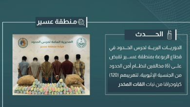 القبض على 6 مخالفين لتهريبهم 120 كيلوجرامًا من القات في عسير
