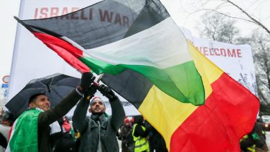 بلجيكا تعتزم الاعتراف بفلسطين وتطالب برفع الحصار عن غزة ..
