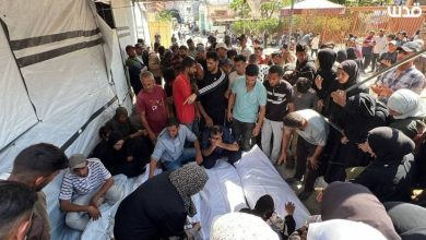 بين غزة الشاهدة.. وغزة الشهيدة